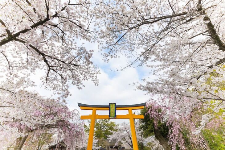 Du Lịch Nhật Bản: Hà Nội - Tokyo - Phú Sĩ - Hakone - Kyoto - Osaka 6 Ngày Bay Vietnam Airlines